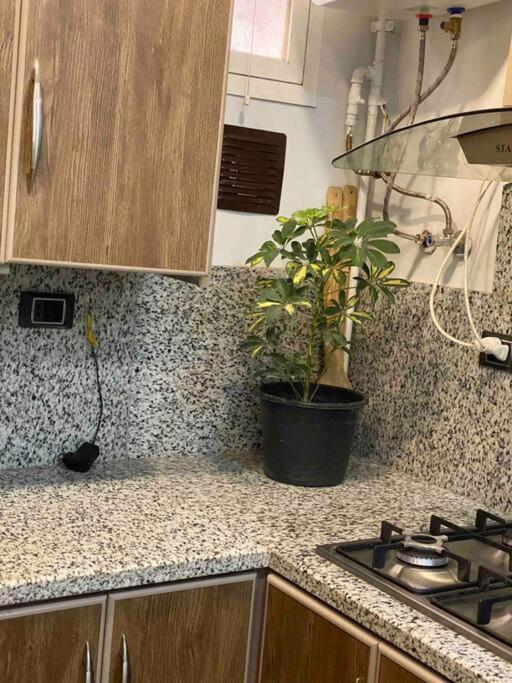 Apartment On A Rooftop In Downtown, القاهرة المظهر الخارجي الصورة